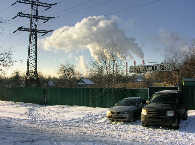 Юрий Антипычев. Действительность. Сад "Здоровье" (Дзержинский, 2010)