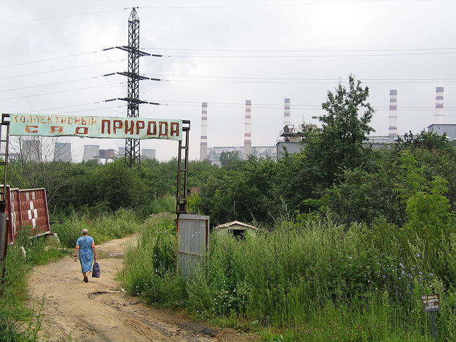 Юрий Антипычев. Действительность. Без названия