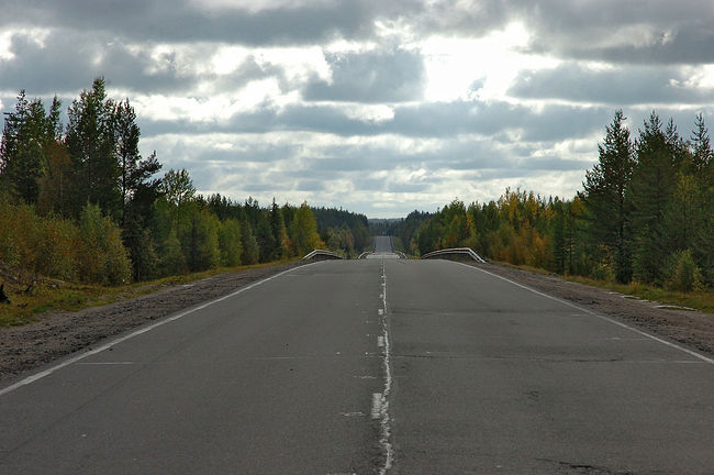 Yurij Antipitchev. Trip to Kola Superdeep Borehole (2015). R21 highway